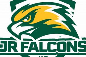 Elevate Your Game: Jr Falcons Hockey Excellence! | Your Ultimate Source for Hockey Updates, Training Guides, and Equipment Recommendations
