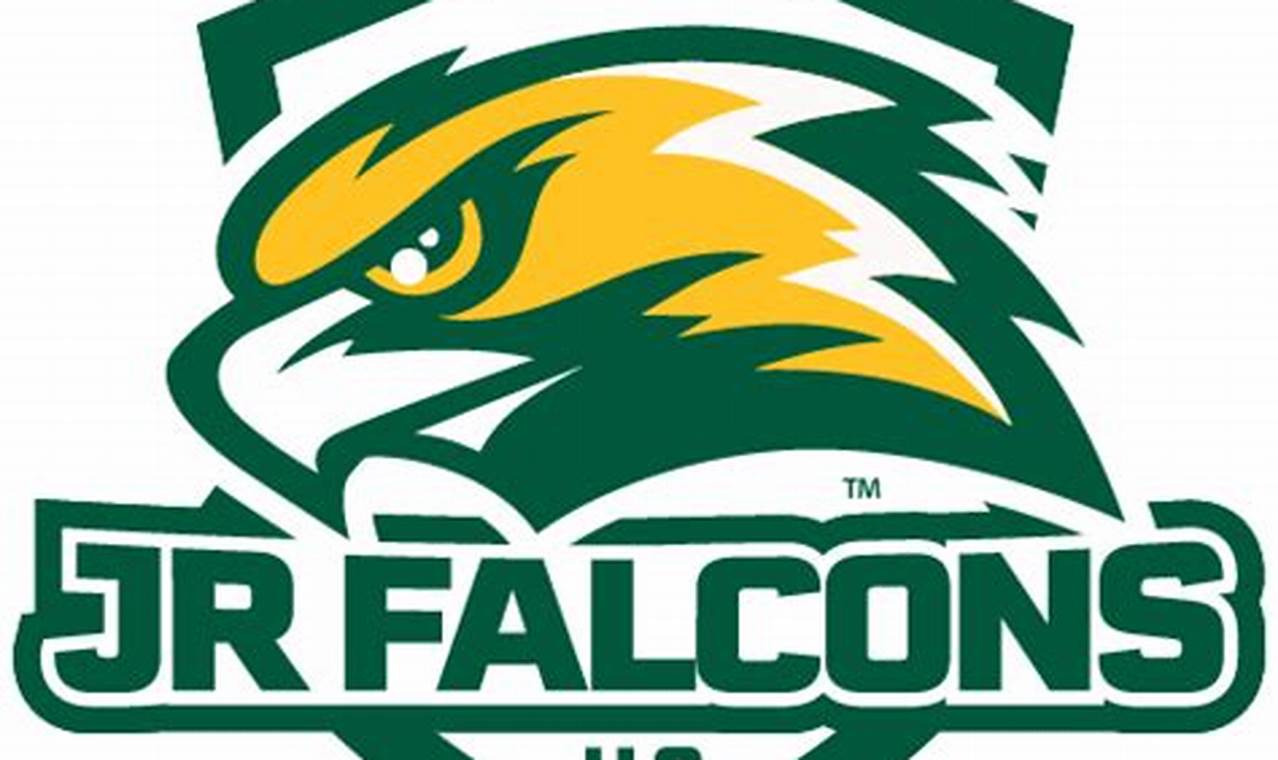 Elevate Your Game: Jr Falcons Hockey Excellence! | Your Ultimate Source for Hockey Updates, Training Guides, and Equipment Recommendations