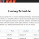 Your Union Ice Hockey Schedule + Game Day Tips | Your Ultimate Source for Hockey Updates, Training Guides, and Equipment Recommendations
