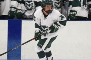 Austin Ramblers Hockey: Join the Ice in Austin! | Your Ultimate Source for Hockey Updates, Training Guides, and Equipment Recommendations