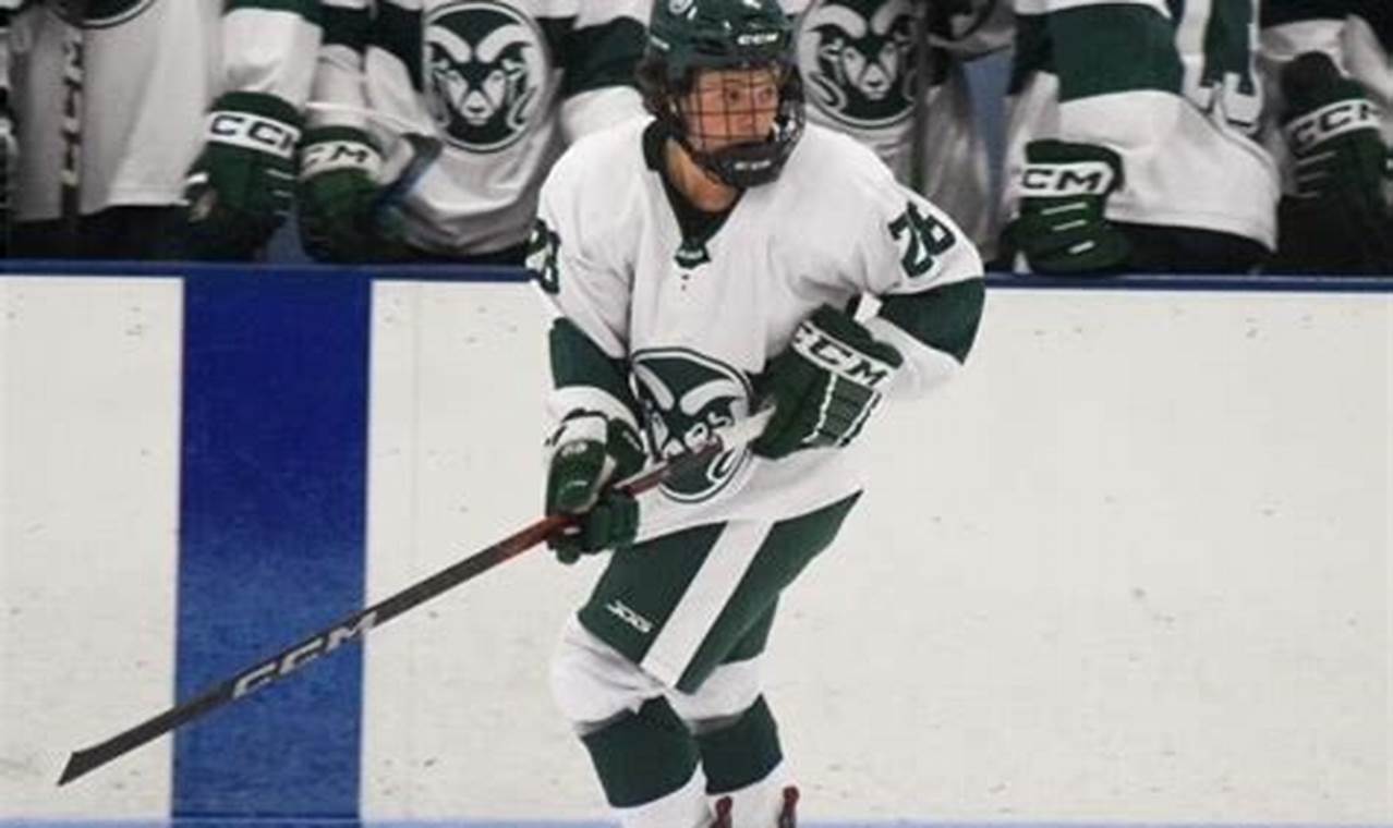 Austin Ramblers Hockey: Join the Ice in Austin! | Your Ultimate Source for Hockey Updates, Training Guides, and Equipment Recommendations