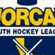 NorCal Youth Hockey: Programs &amp; Leagues Near You! | Your Ultimate Source for Hockey Updates, Training Guides, and Equipment Recommendations