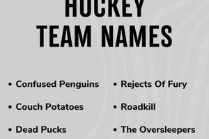 Top Funniest Fantasy Hockey Names &amp; Ideas [Year] | Your Ultimate Source for Hockey Updates, Training Guides, and Equipment Recommendations