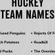 Top Funniest Fantasy Hockey Names &amp; Ideas [Year] | Your Ultimate Source for Hockey Updates, Training Guides, and Equipment Recommendations