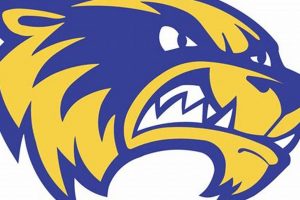 Wadena Hockey: Local Ice Action + More | Your Ultimate Source for Hockey Updates, Training Guides, and Equipment Recommendations