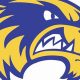 Wadena Hockey: Local Ice Action + More | Your Ultimate Source for Hockey Updates, Training Guides, and Equipment Recommendations