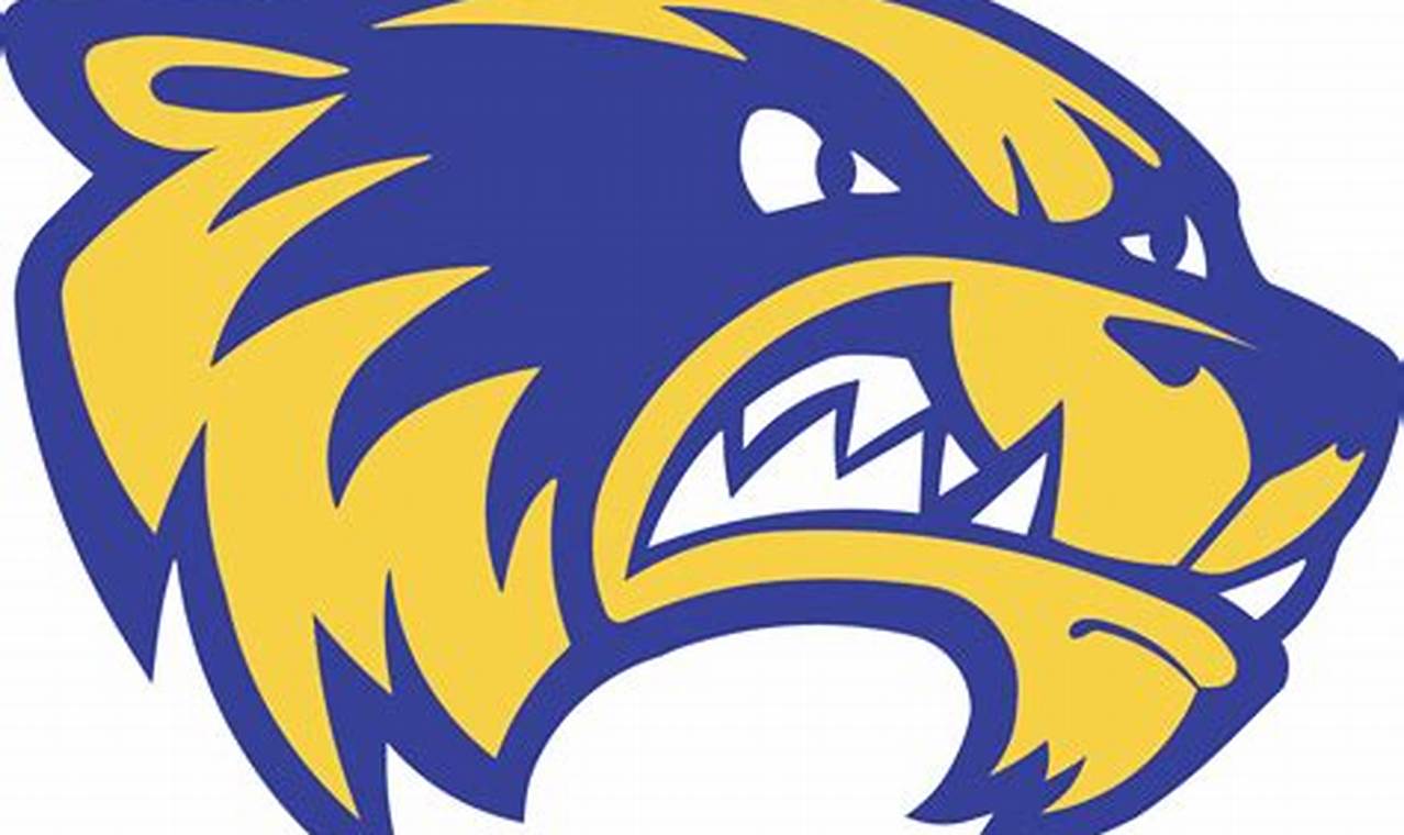 Wadena Hockey: Local Ice Action + More | Your Ultimate Source for Hockey Updates, Training Guides, and Equipment Recommendations