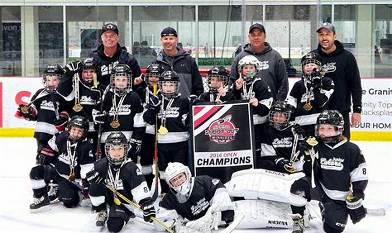 Lakers AAA Hockey: Elite Youth Hockey Program Your Ultimate Source for Hockey Updates, Training Guides, and Equipment Recommendations Lakers AAA Hockey: Elite Youth Hockey Program | Your Ultimate Source for Hockey Updates, Training Guides, and Equipment Recommendations