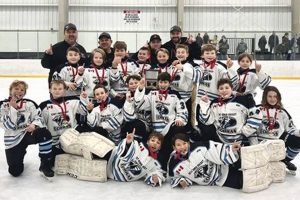 Youth Hockey Cobras: Strike Fast &amp; Win! | Your Ultimate Source for Hockey Updates, Training Guides, and Equipment Recommendations