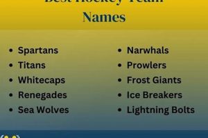 Top Great Hockey Team Names: & Beyond! | Your Ultimate Source for Hockey Updates, Training Guides, and Equipment Recommendations