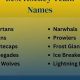 Top Great Hockey Team Names: & Beyond! | Your Ultimate Source for Hockey Updates, Training Guides, and Equipment Recommendations