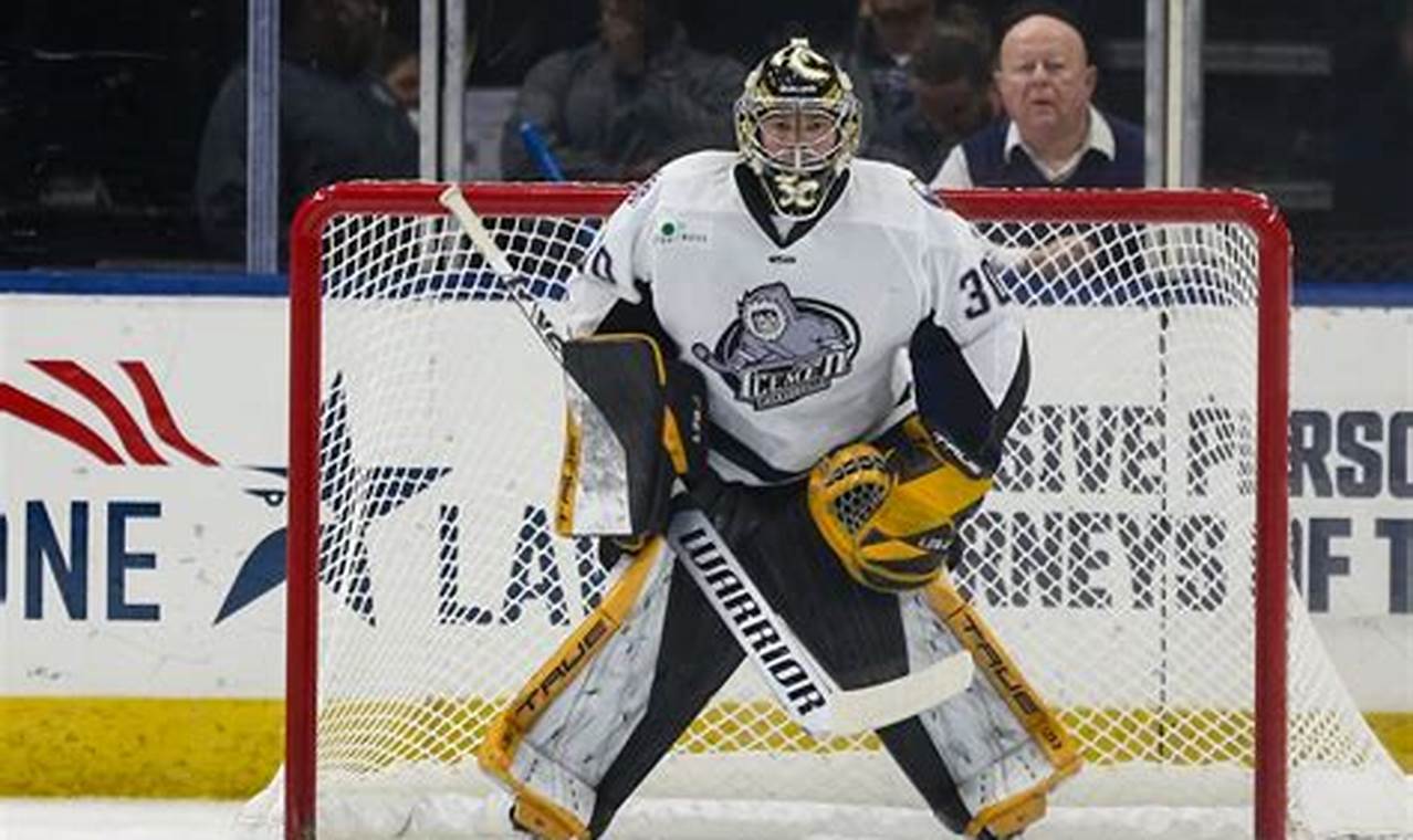 All About Matt Vernon Hockey: Stats & Legacy Your Ultimate Source for Hockey Updates, Training Guides, and Equipment Recommendations All About Matt Vernon Hockey: Stats & Legacy | Your Ultimate Source for Hockey Updates, Training Guides, and Equipment Recommendations