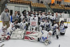 Your Guide: Brunswick Hockey Scene & Teams | Your Ultimate Source for Hockey Updates, Training Guides, and Equipment Recommendations