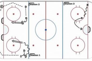 Unlock Your Potential: Defenceman Drills for Hockey Domination Your Ultimate Source for Hockey Updates, Training Guides, and Equipment Recommendations Unlock Your Potential: Defenceman Drills for Hockey Domination | Your Ultimate Source for Hockey Updates, Training Guides, and Equipment Recommendations