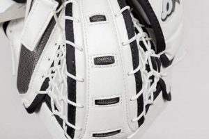 Brian's Hockey: Gear Up for Goalie Greatness! | Your Ultimate Source for Hockey Updates, Training Guides, and Equipment Recommendations