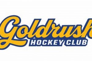 Premier Gold Rush Hockey Club: Your Guide & More | Your Ultimate Source for Hockey Updates, Training Guides, and Equipment Recommendations