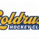 Premier Gold Rush Hockey Club: Your Guide & More | Your Ultimate Source for Hockey Updates, Training Guides, and Equipment Recommendations