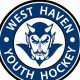 West Haven Youth Hockey: Skills, Teams & Community | Your Ultimate Source for Hockey Updates, Training Guides, and Equipment Recommendations
