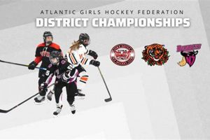 Atlantic District Hockey Playoffs | Race for the Ice! | Your Ultimate Source for Hockey Updates, Training Guides, and Equipment Recommendations
