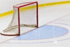 Hockey Crease Mastery: Rules, Tips & Strategy | Your Ultimate Source for Hockey Updates, Training Guides, and Equipment Recommendations