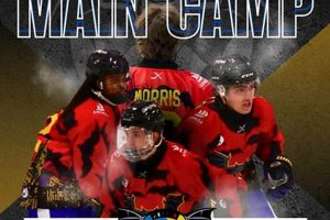 Get the Latest Austin Ice Bats Hockey Schedule + More! | Your Ultimate Source for Hockey Updates, Training Guides, and Equipment Recommendations
