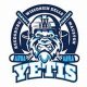 Premier RWD Youth Hockey: Skills & Safety Tips | Your Ultimate Source for Hockey Updates, Training Guides, and Equipment Recommendations
