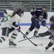 Endicott Women's Hockey: Gulls on Ice &amp; NCAA Dreams | Your Ultimate Source for Hockey Updates, Training Guides, and Equipment Recommendations
