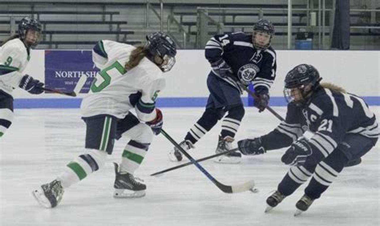 Endicott Women's Hockey: Gulls on Ice &amp; NCAA Dreams | Your Ultimate Source for Hockey Updates, Training Guides, and Equipment Recommendations