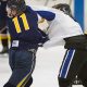 Buy Hockey Fight Straps: Gear & Safety First! | Your Ultimate Source for Hockey Updates, Training Guides, and Equipment Recommendations