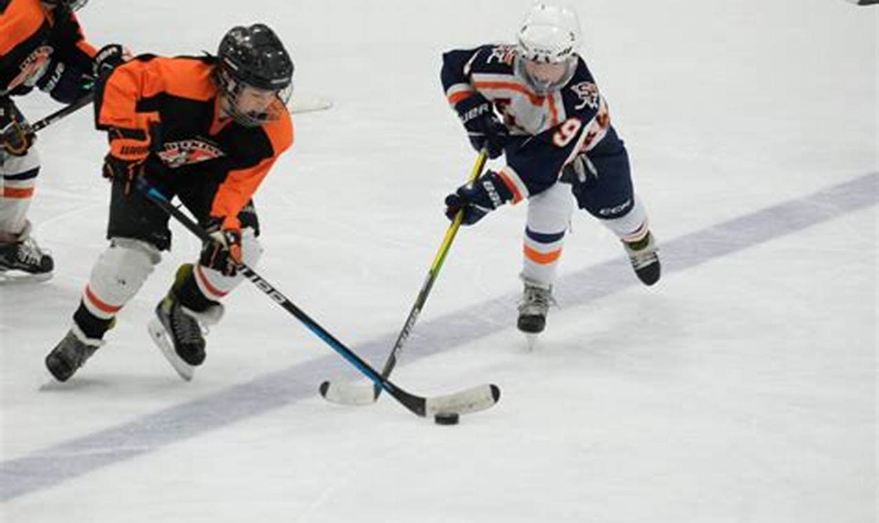 Learn Mite Hockey: Skills, Drills & More! | Your Ultimate Source for Hockey Updates, Training Guides, and Equipment Recommendations