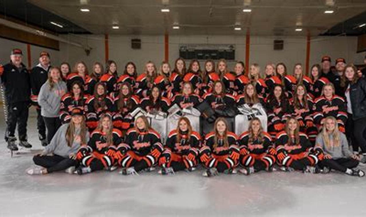 Your Guide to Farmington MN Hockey Scene: Teams & More Your Ultimate Source for Hockey Updates, Training Guides, and Equipment Recommendations Your Guide to Farmington MN Hockey Scene: Teams & More | Your Ultimate Source for Hockey Updates, Training Guides, and Equipment Recommendations