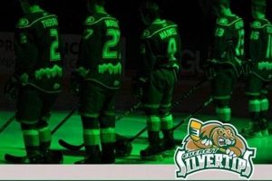 Silvertips Hockey Score: Latest Results &amp; Analysis | Your Ultimate Source for Hockey Updates, Training Guides, and Equipment Recommendations
