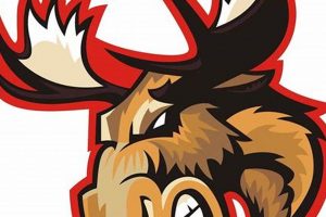 Monticello Moose Hockey: Your Home For Hockey Excellence | Your Ultimate Source for Hockey Updates, Training Guides, and Equipment Recommendations