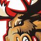 Monticello Moose Hockey: Your Home For Hockey Excellence | Your Ultimate Source for Hockey Updates, Training Guides, and Equipment Recommendations