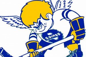 Minnesota Fighting Saints Hockey: WHA's Wild Ride | Your Ultimate Source for Hockey Updates, Training Guides, and Equipment Recommendations