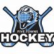 Local 5 Towns Hockey: Leagues & Teams Near You | Your Ultimate Source for Hockey Updates, Training Guides, and Equipment Recommendations