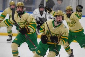 Notre Dame West Haven Hockey: A Winning Tradition! | Your Ultimate Source for Hockey Updates, Training Guides, and Equipment Recommendations