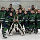 LDC Youth Hockey Programs: Skills & Fun! | Your Ultimate Source for Hockey Updates, Training Guides, and Equipment Recommendations