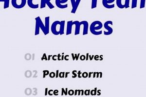 Catchy Cool Hockey Team Names: Ideas & More Your Ultimate Source for Hockey Updates, Training Guides, and Equipment Recommendations Catchy Cool Hockey Team Names: Ideas & More | Your Ultimate Source for Hockey Updates, Training Guides, and Equipment Recommendations