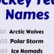 Catchy Cool Hockey Team Names: Ideas & More | Your Ultimate Source for Hockey Updates, Training Guides, and Equipment Recommendations