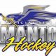 Hermantown Youth Hockey: Skills & Fun on Ice! | Your Ultimate Source for Hockey Updates, Training Guides, and Equipment Recommendations