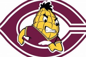 Concordia Cobbers Hockey: News, Scores & More | Your Ultimate Source for Hockey Updates, Training Guides, and Equipment Recommendations