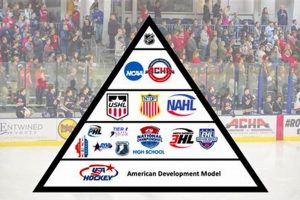 Decoding the Levels of Pro Hockey: From Minors to NHL | Your Ultimate Source for Hockey Updates, Training Guides, and Equipment Recommendations