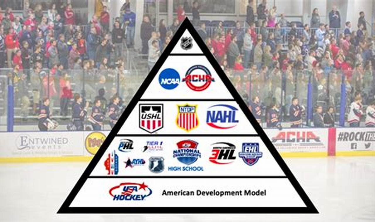 Decoding the Levels of Pro Hockey: From Minors to NHL | Your Ultimate Source for Hockey Updates, Training Guides, and Equipment Recommendations