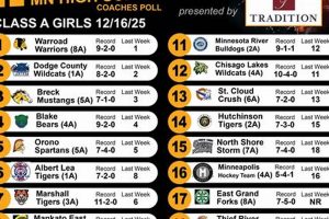 MN Youth Hockey Rankings: Find Top Teams + More! | Your Ultimate Source for Hockey Updates, Training Guides, and Equipment Recommendations