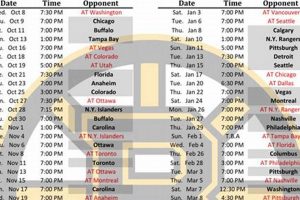 Get the Boston Pride Hockey Schedule 2024-25 &amp; More | Your Ultimate Source for Hockey Updates, Training Guides, and Equipment Recommendations